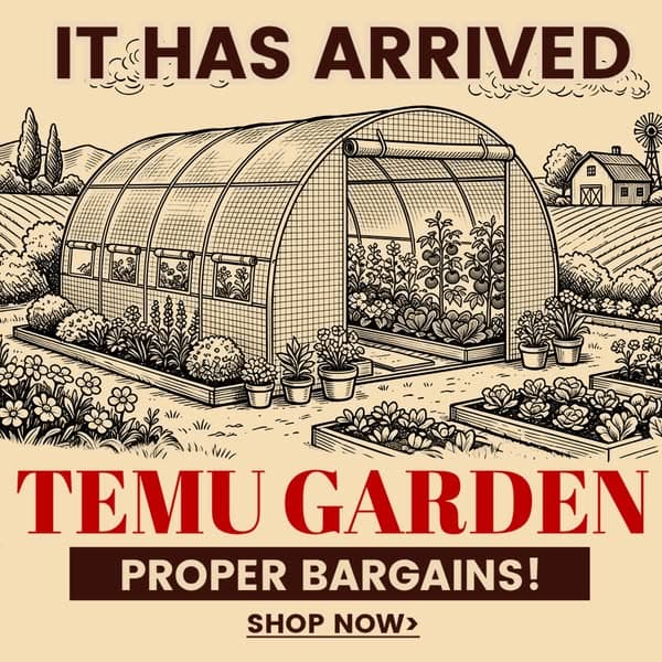 Temu | Explore the Latest Clothing, Beauty, Home, Jewelry & More