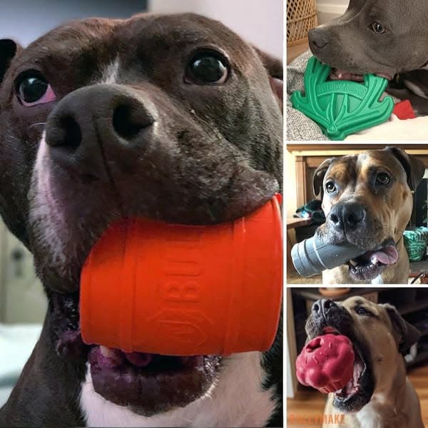 Built for Dogs Who Destroy Toys