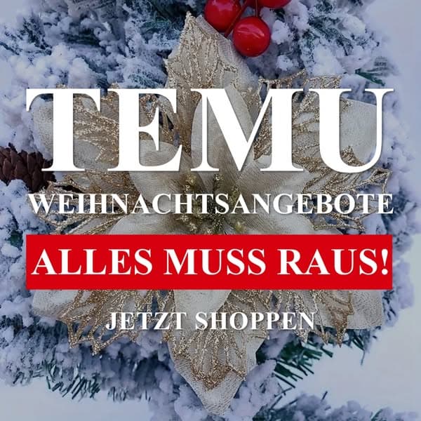 Tolle Angebote bei Temu