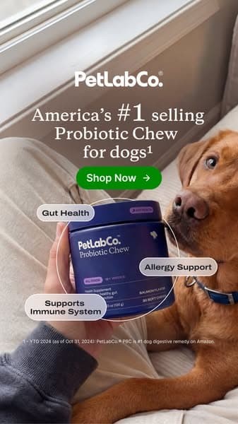 92% of dog parents love it from day one!