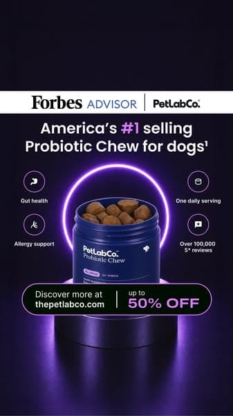 America's #1 Selling Dog Probiotic Chew