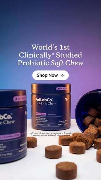 Finally a dog probiotic soft chew really built by science