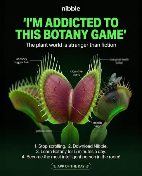 🔬 Biology, but Bite-Sized!