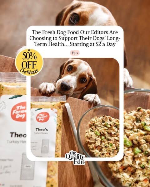 Vet-Developed Peace of Mind: 50% Off The Farmer’s Dog
