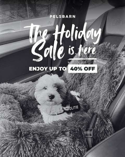 🚨 Holiday Sale - Up to 40% OFF 🚨