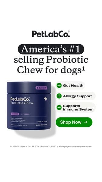 92% of Dogs Love It From Day One