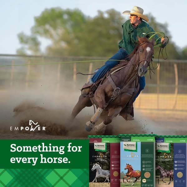 Empower Your Rodeo Horse