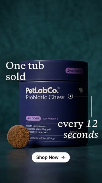 America’s #1 Probiotic Chew for Dogs