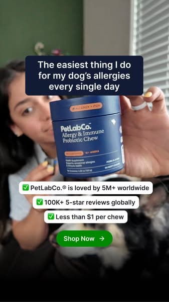 The daily chew that saved us this allergy season 🐶