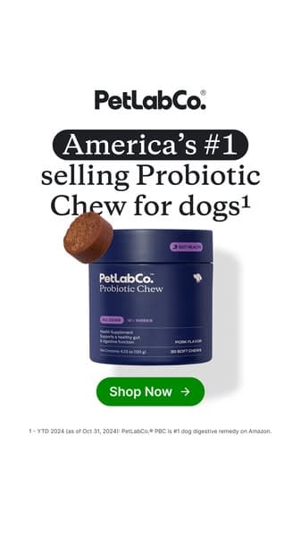 92% of Dogs Love It From Day One