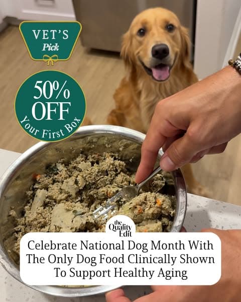 Why Our Editors Recommend The Farmer’s Dog (Now 50% Off)