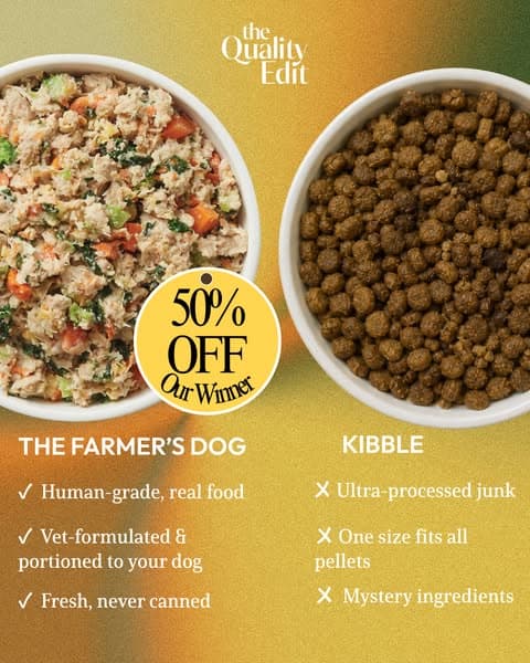 Vet-Developed Peace of Mind: 50% Off The Farmer’s Dog