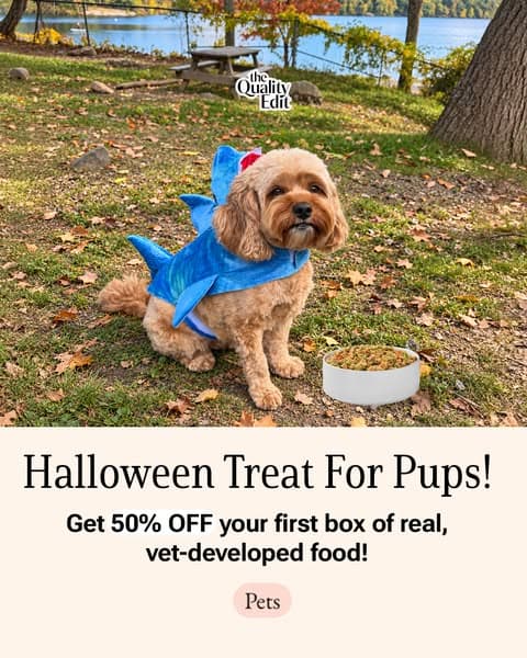 Vet-Developed Peace of Mind: 50% Off The Farmer’s Dog