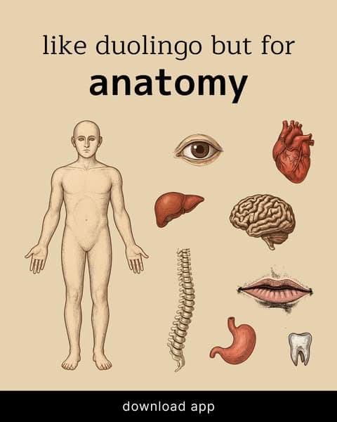 🔬 Biology, but Bite-Sized!