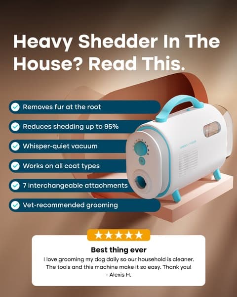 Struggling with Pet hair? Not for long!