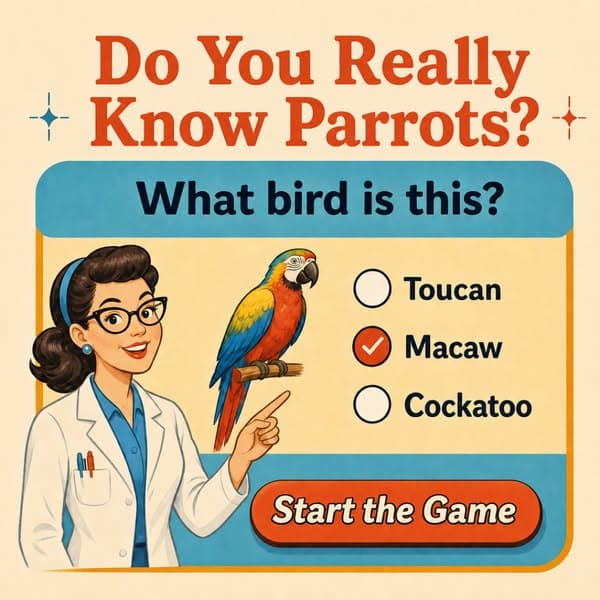 ๐Ornithology, but Bite-Sized!