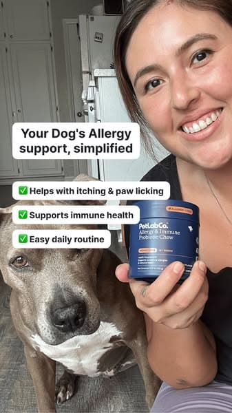 Allergy Support, Made Simple