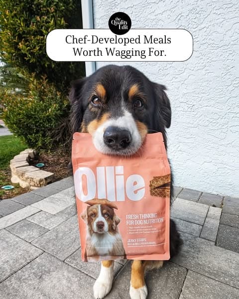 Chef-Developed Recipes