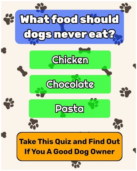 Can You Pass the Quiz That Stumps Almost Every Dog Owner?