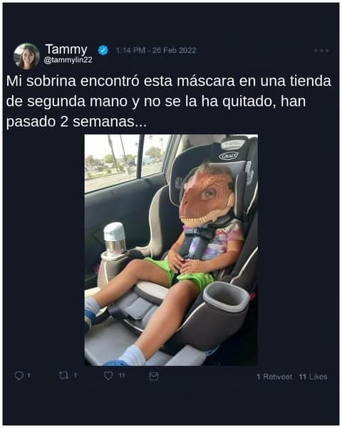 Hallazgos insólitos en tiendas de segunda mano que hicieron que los compradores se quedaran boquiabiertos
