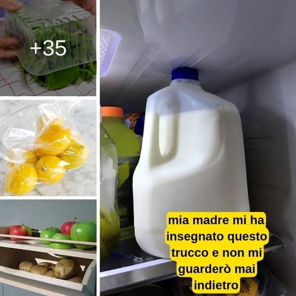 Risparmia denaro ed evita gli sprechi conservando il cibo nel modo giusto