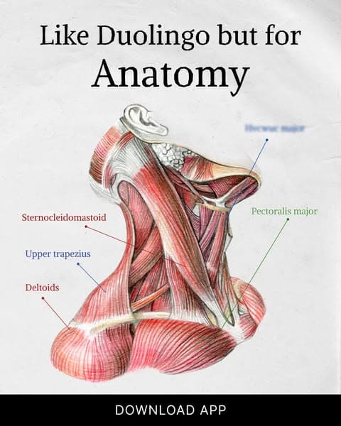 🔬 Biology, but Bite-Sized!