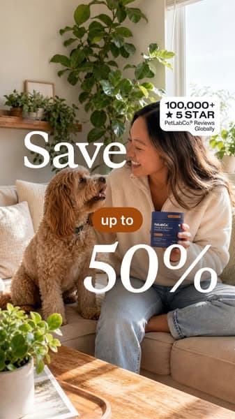 This "Allergy Chew" Helps Dogs Be Themselves Again ❤️