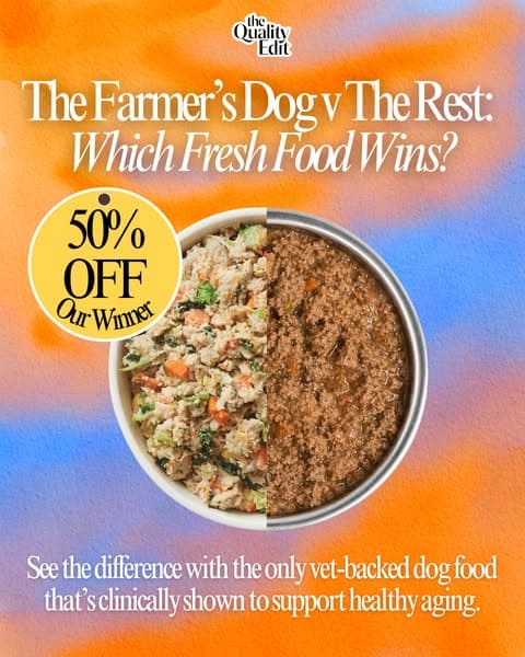 Why Our Editors Recommend The Farmerβs Dog (Now 50% Off)