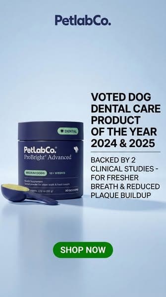 Voted Dog Dental Care Product of the Year. Twice.