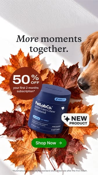 Joint Care Chew Advanced for Dogs | 50% Off First 2 Months