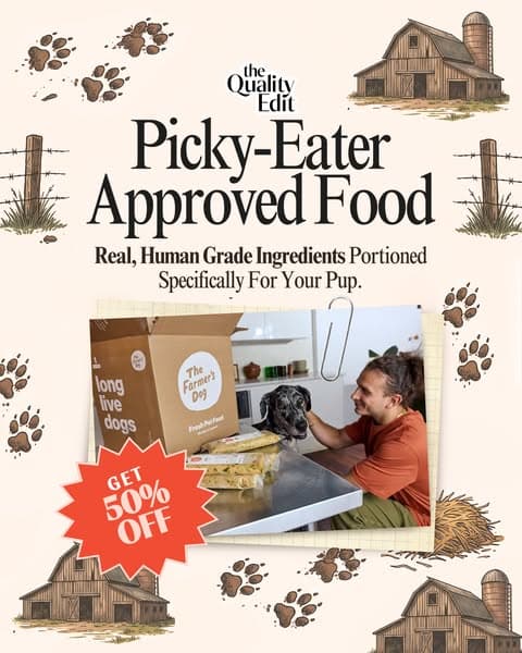Vet-Developed Peace of Mind: 50% Off The Farmer’s Dog