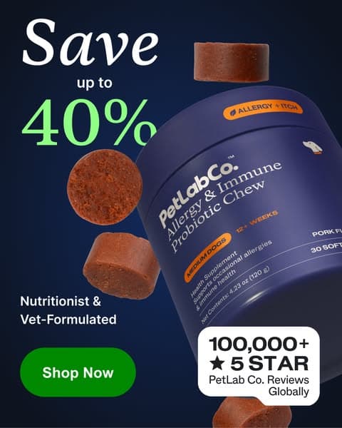 This “Allergy Chew” Helps Dogs Be Themselves Again ❤️