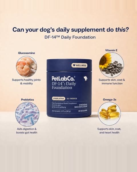 Daily Dog Multivitamin - Long-Term Health