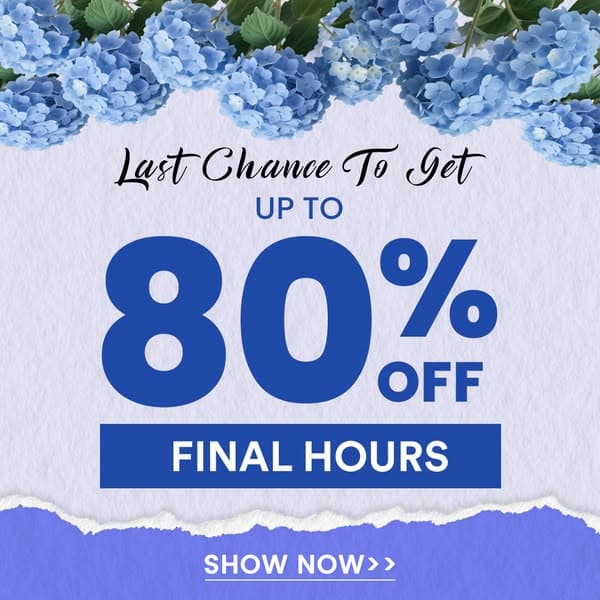 Limited time discount📣📣