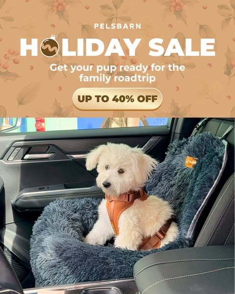 🚨 Holiday Sale - Up to 40% OFF 🚨