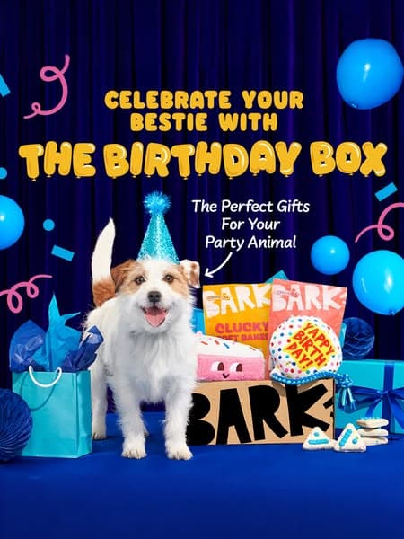 +1 FREE toy every month