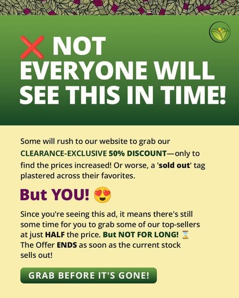 50% Off Right Now—Go!