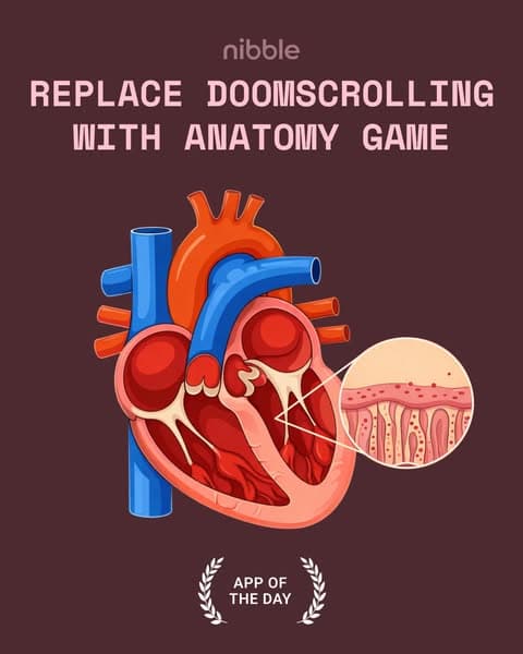 🔬 Biology, but Bite-Sized!