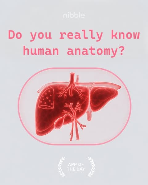 🔬 Biology, but Bite-Sized!