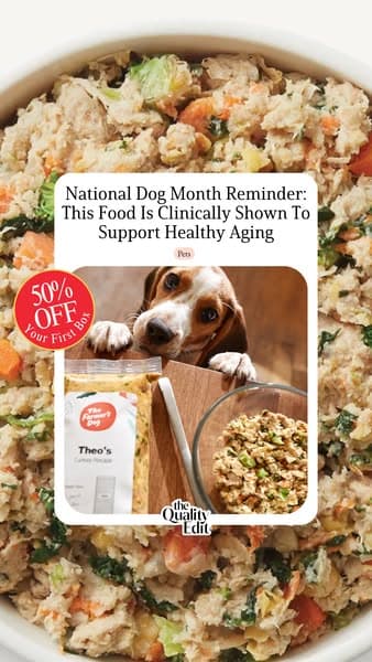 Why Our Editors Recommend The Farmer’s Dog (Now 50% Off)
