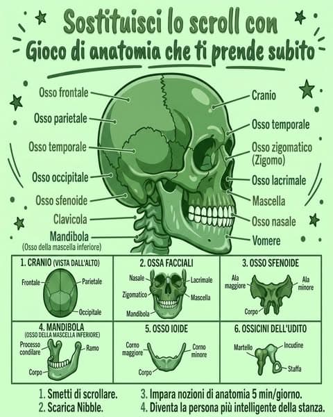 📖 La Biologia Spiegata Come se Avessi 5 Anni