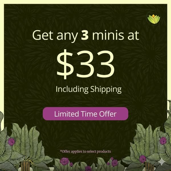 Mini Sizes, Mega Glow β 3 for $33 AUD!