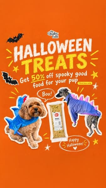 Vet-Developed Peace of Mind: 50% Off The Farmer’s Dog