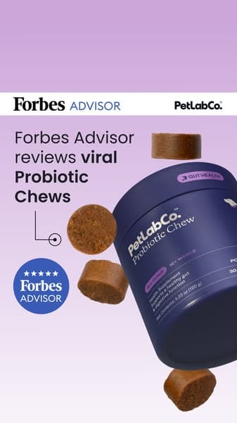 The Viral Dog Probiotic With A Clinical Study