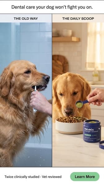 Keep their teeth clean WITHOUT a toothbrush!