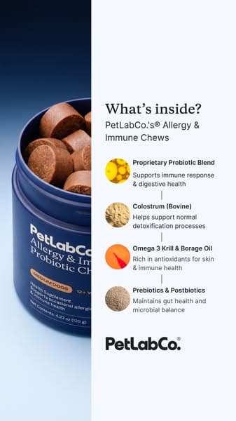 Stop Guessing. Give Them the Allergy Support Vets Trust