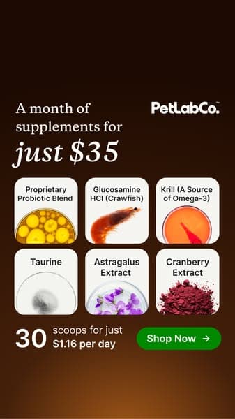 1 Scoop Replaces $235 In Supplements
