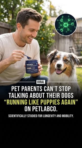 One scoop replaced my dog's whole supplement shelf