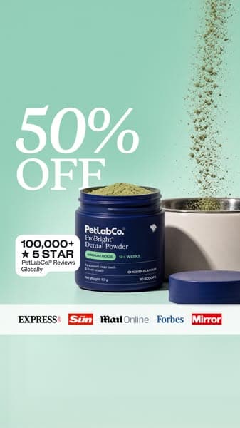 50% OFF Dog Dental Powder | Powerful Daily Support