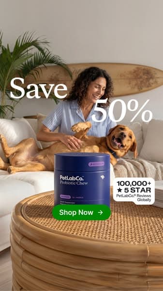 50% OFF Daily Gut Support for Dogs 💙 Gentle on Tums